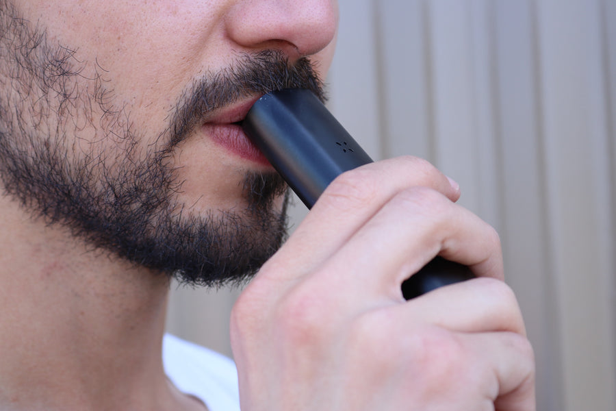 How Do Dry Herb Vaporizers Work: Step-by-Step